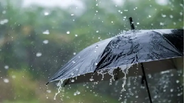 Bhubaneswar: Thunderstorms and Rain Expected to Persist for Five More Days