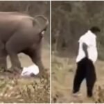 Odisha Assembly Adjourned Amid Protests Over SCB Hospital Fire Tragedy