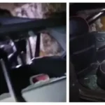 World Sparrow Day Celebrated in Odisha: Urgent Appeal to Protect Declining Sparrow Populations