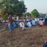 Bhitarkanika National Park Hosts Eight Species of Kingfishers