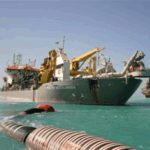 Bhitarkanika National Park Hosts Eight Species of Kingfishers