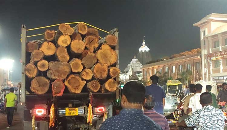 Sacred Asana Woods Arrive in Puri for Rath Yatra 2026 Preparations