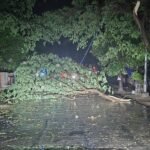 Maoist Commander Moochaki Kailash Killed in Sukma Clash