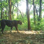 Odisha Youth Drowns While Filming Reel in Bhadrak River