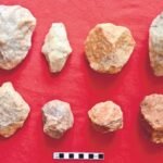 Weather Update for April 8: IMD Issues Orange Alert as Delhi-NCR Faces Cloudy Skies and Strong Winds, Hailstorm Possible in Northern India