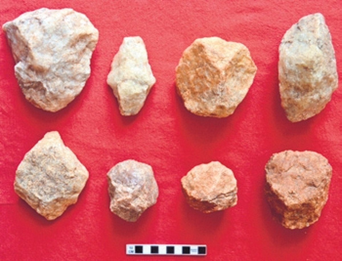 Stone Age Tools Discovered by Road Project Workers in Deogarh's Reamal