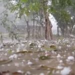 Odisha Chief Minister Launches 36 Industrial Projects Valued at ₹40,811 Crore