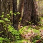 Vedanta Aluminium Signs MoU for Downstream Industries in Jharsuguda, Odisha