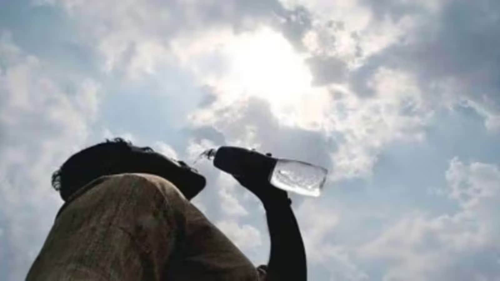 Heatwave Warning: IMD Predicts 45 Degrees in Northern and Central India Over Next 3 Days