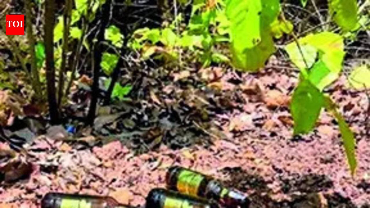 Littering in Forests Threatens Wildlife, Warns WSO