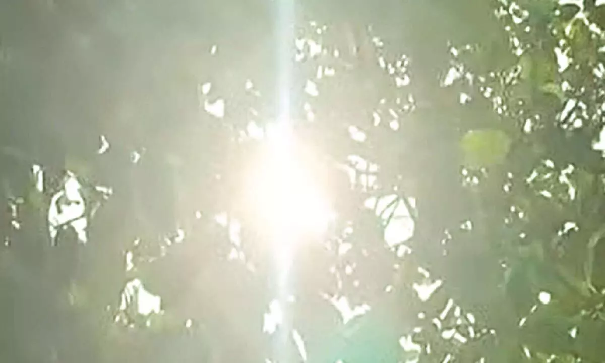 Jharsuguda Experiences Extreme Heat at 46 Degrees Celsius
