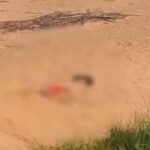 Youth Murdered by Four Assailants in Odisha’s Balasore District