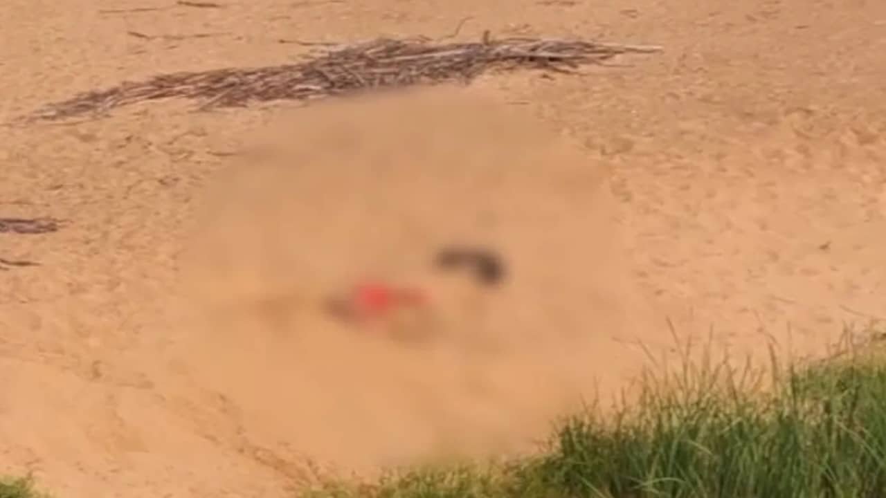 Investigation Launched After Woman's Body Discovered on Kathajodi Riverbed in Cuttack
