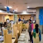 Odisha: Vedanta’s ₹1 Lakh Crore Projects to Be Reviewed Biweekly, Says Mohan Majhi
