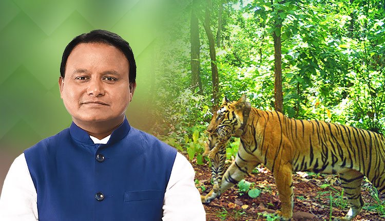 CM Majhi Celebrates Birth of Four Cubs to Tigress Zeenat in Similipal Tiger Reserve