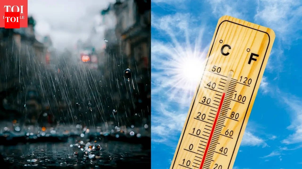 Weather Changes Across India: Heatwaves in the North and Heavy Rainfall in the South