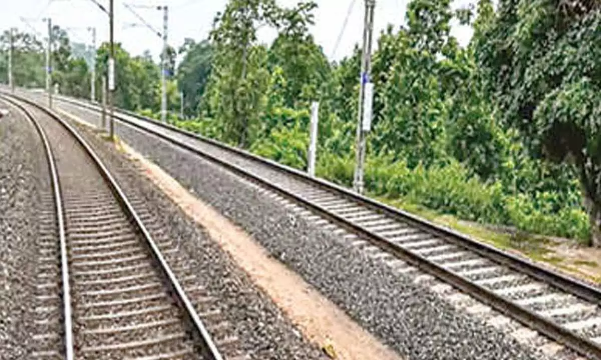 Doubling Paradeep-Haridaspur Rail Line to Propel Odisha's Growth, Says Chief Minister
