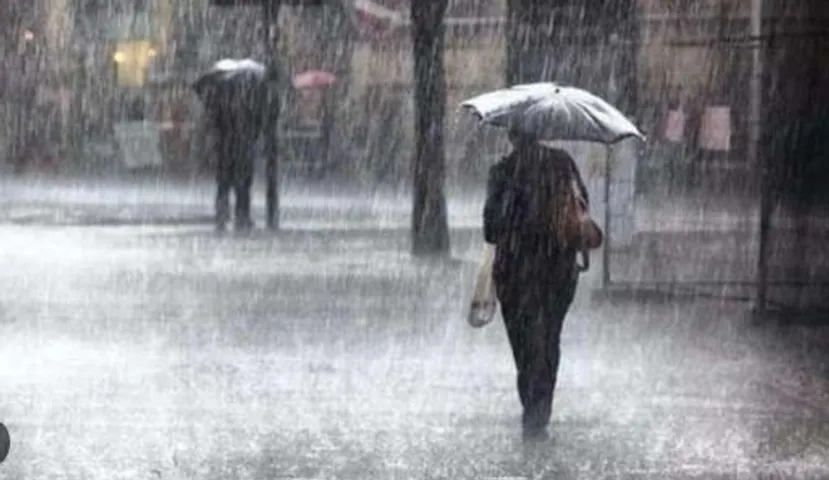 Odisha Faces Heavy Rain and Thunderstorms for Three More Days, IMD Warns