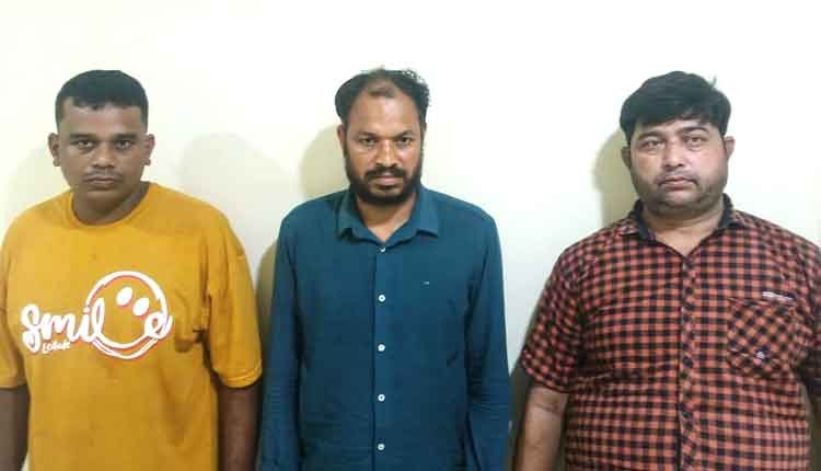 Odisha's STF Dismantles Cannabis Smuggling Ring Linked to Rajasthan, Arrests Three