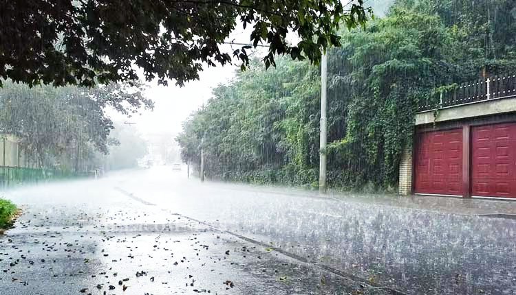 Thunderstorms and Rain Expected in Five Districts of Western Odisha Soon