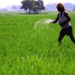 Odisha Attracts ₹43,437 Crore in Investments at FoodPro 2026