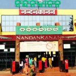 Odisha Introduces Mobile App for Remote Consent from Landowners for Paddy Registration