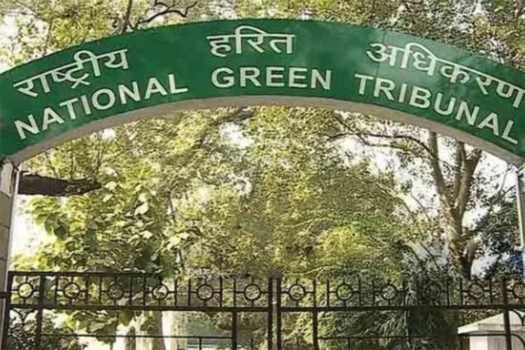 NGT Orders Inquiry into Ib River Pollution and Groundwater Extraction in Jharsuguda