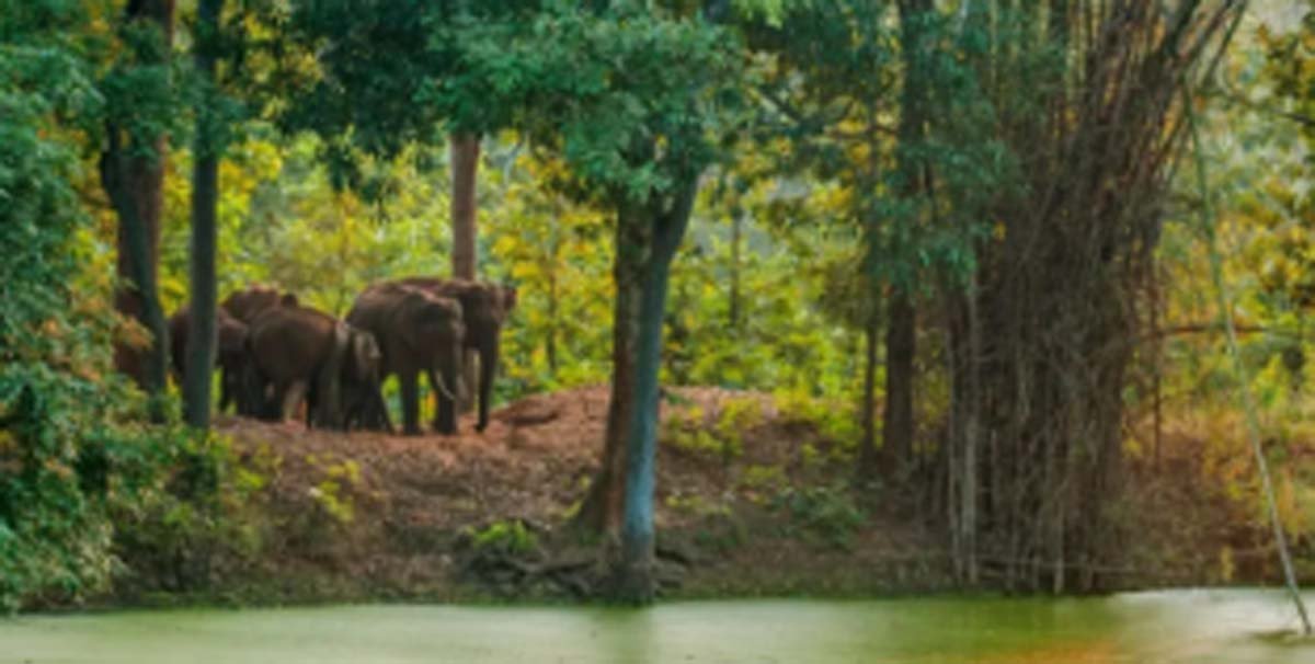 UPSC Daily Quiz: Test Your Knowledge on Environment and Geography