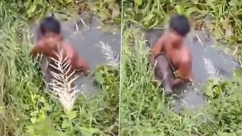 Teenager Displays Heroism in Cuttack Canal During Wild Boar Encounter