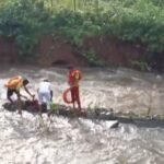 Saltwater Crocodile Rescued from Fishing Net in Kendrapada