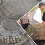Odisha Vigilance Arrests Ganjam Assistant Sub-Inspector for Alleged Bribery