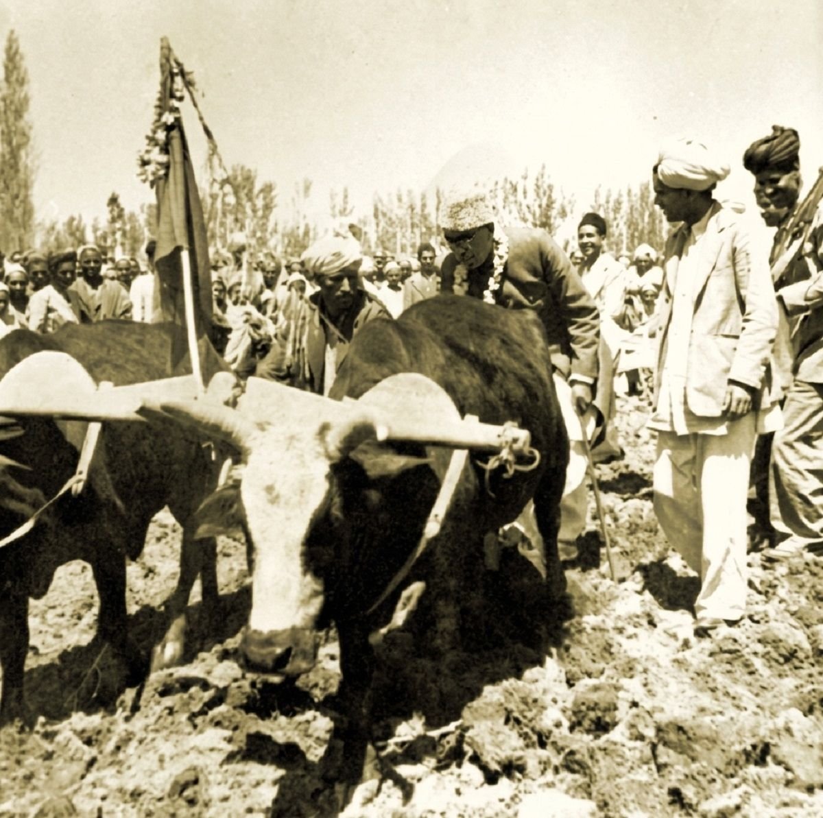 Kashmir's Economic Narrative: Beyond Land Reforms to Craftsmanship