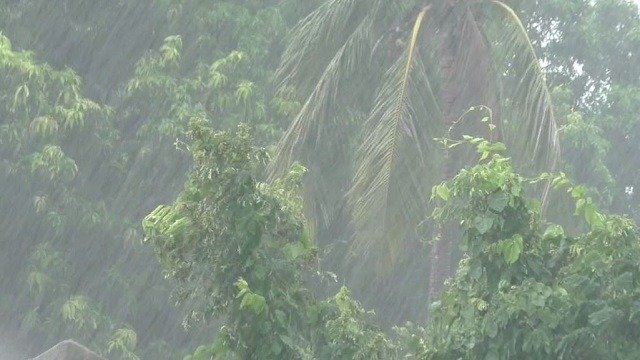 Heavy Rain Forecasts Prompt Red Warning in Odisha Districts