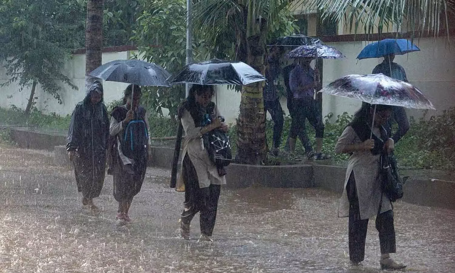 Over 8,000 Evacuated as Odisha Faces Intense Rainfall