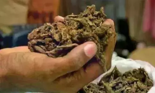 Police Capture 83 Kg of Ganja from Ambulance in Jharkhand, Four Detained