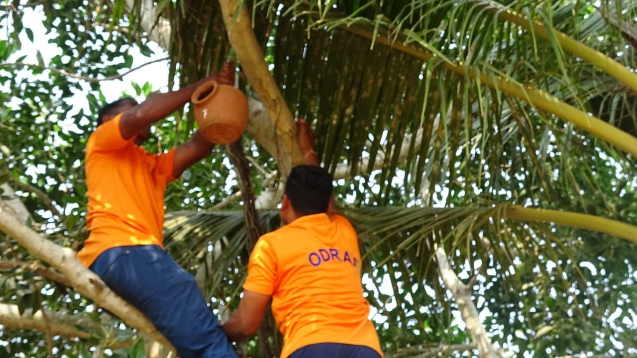 OSAP Launches Initiative with Installation of 20 Artificial Bird Nests